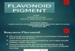 Flavonoid Pigment