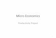 Micro Economics Productivity Project
