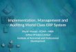 ERP Implementation, Management, Audit.pptx