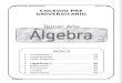 Algebra 3er Año