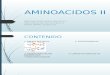 Aminoacidos II