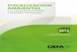Fiscalizacion Ambiental - Oefa - Informe 2015