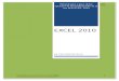 Excel2010 VETETERINARIA  Manual