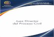 Juez Director Del Proceso Civil