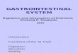 Gastrointestinal System 2010