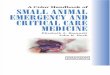 A Colour Handbook of Small Animal Emergency and Critical Care Medicine