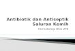 Antibiotik Dan Antiseptik Saluran Kemih 246