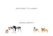 Gestalt’s Laws