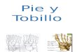 Tecnicas-evaluativas -Tobillo y Pie -Sistema Esqueletico