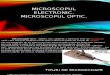 Microscopul Electronic (1)