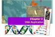 Chap 2 DNA Replication