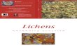 Lichens BOOK