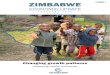 Zimbabwe Economic Update Report