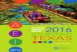 2016 AEI Comprehensive Brochure