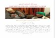 Safarnaamah-America-2010-Urdu Article- Journey