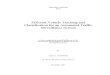 Efficient Vehicle Tracking and Classification for an Automated Traffic Surveillance System Thesis 2007