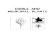 International Guide to Edible and Medicinal Plants