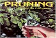 Pruning How-To Guide for Gardeners