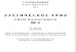 Rachmaninov - Op9 Trio Elegiaque No2 for Violin, Cello and Piano - Ed. a.goldenweiser