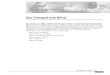 Any Transport over MPLS (AToM).pdf