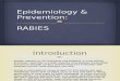 Epidemiology work on rabies