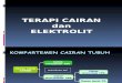 Anestesi_Terapi Cairan & Elektrolit