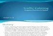 Traffic Calming Council Update 2014