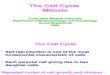 10. the Cell Cycle ABC 2009