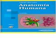 Anatomia Humana Latarjet.4Ed Tomo 02