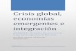 Crisis Global, Economías emergentes e integracion