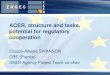 ACER, Structure and Tasks, Potential for Regulatory Cooperation, CEER