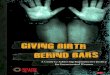 Giving Birth Behind Bars Guide 2