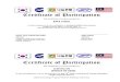 KOREA Certificate of Participation