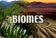 Biomes (bs physics env.sci notes)
