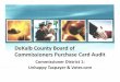 DeKalb County P-Card Audit:  Commissioner Elaine Boyer