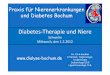 Diabetestherapie und Niere 2012 [Kompatibilitätsmodus].pdf