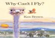 why can´t fly.pdf