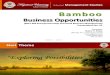 Bamboo Entrepreneurship Presentation 1