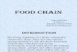 F00d Chain Ppt Final Report New
