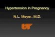 15423657 Hypertension in Pregnancy