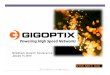 GigOptix (GIG) Needham Conference Version 1.14.14 FINAL