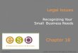 Chap 018 - Small Business Development