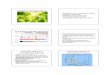11 Photosynthesis Notes