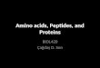 Amino Acids, Peptides, And Proteins I 2013