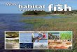 More Habitat More Fish