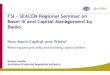 07 Raman Sandhu - Capital Buffers