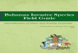 Bahamas Invasive Species Field Guide