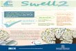 Swell Newsletter November Edition