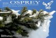 Osprey 45.1 Web