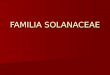 Familia Solanaceae